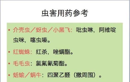 四川一29太太，因養多肉而「圈粉10萬+」，從2樓垂到1樓，太霸氣