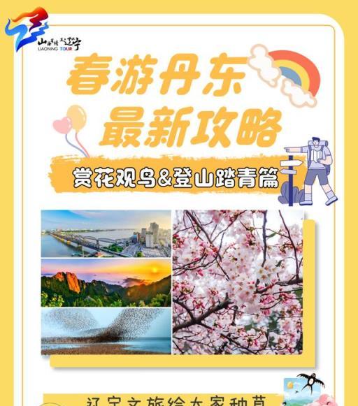 春遊丹東，花卉盛宴與山色踏青指南-imomo植物識別