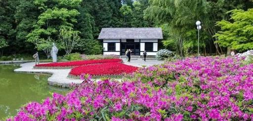 春光燦爛|跟著詩詞來廬山赴一場春日賞花之旅