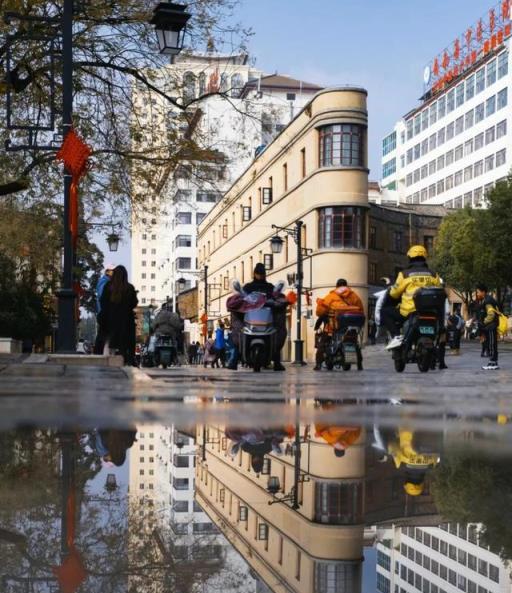 「窮人養花，富人種樹」，家中養2種「守家樹」，鎮宅又納福