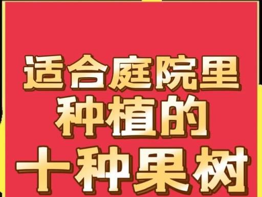 庭院裡種上這十種果樹，既能一年四季吃水果又能賺錢，生活真愜意