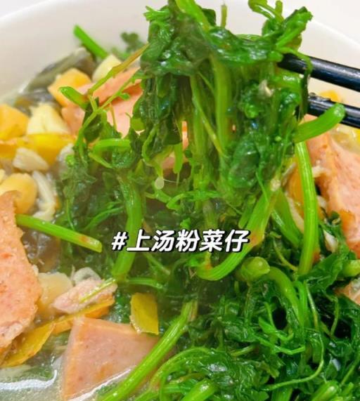 4月踏青，遇到這8種野菜就挖回家，美味又營養，遍地都是