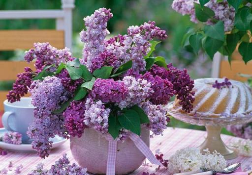 花開美麗 芳香四溢—最愛丁香花