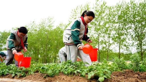 水溶肥：掌握用肥技巧、避開用肥誤區，你才是種地施肥高手！