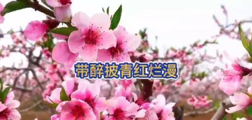 山花子《桃花》兩人首#原創詩詞