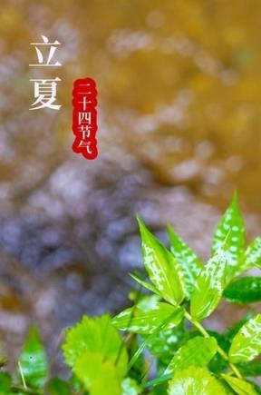 今年立夏不一般，無論多忙，牢記「立夏有三怕」，具體指哪些？