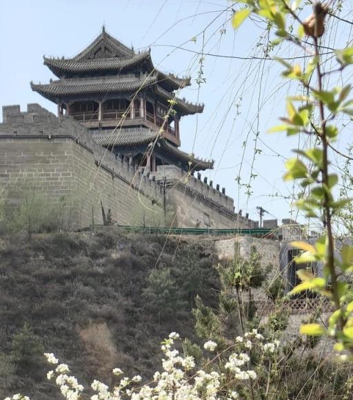 精美圖集！府谷朵朵海紅花，不是海卻美過任何一片海