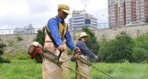 不同植物，修剪方法、時間各有不同，你修剪對了麼？