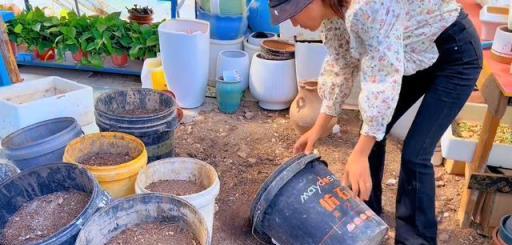 通用營養土配置方法，松針土、珍珠岩與牛糞的混合比例及殺蟲殺菌處理