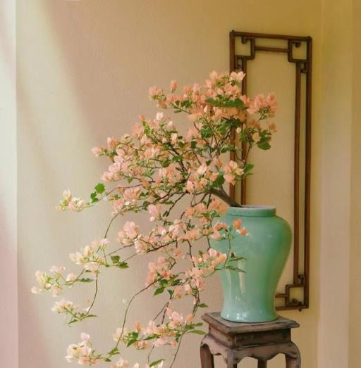 三角梅馬斯，花卉王國的仙子奇遇