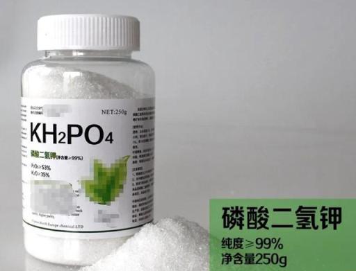 養花要學會合理用肥，底肥和追肥要搞清楚，教你老園丁的施肥技巧