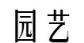 人家的吊蘭，從來不幹尖、不黃葉，原來是這麼養的！