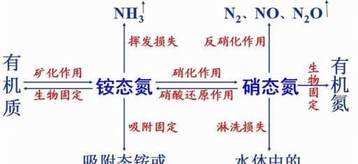 莊稼一枝花全靠肥當家，作物氮肥的7大作用4大種類，不知道別亂用