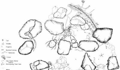 微生物肥料（菌肥）正確施肥方法