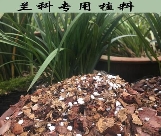 不用買「昂貴」的蘭花土，路邊一大堆，摻配一下，養的蘭花滿白根