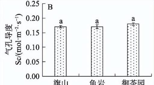 羊糞和蘑菇泥基質栽培，對陽光玫瑰葡萄的生長及品質有哪些影響？