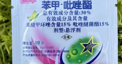 玉樹葉片上長滿了「斑點」，誰說刷一刷就好了？只怕越刷它會越多