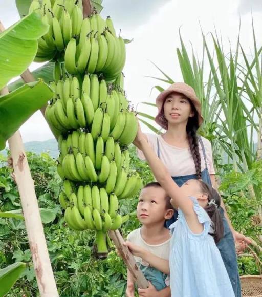 媽媽花17年為女兒打造百畝童話世界，全網都在羨慕他們的生活