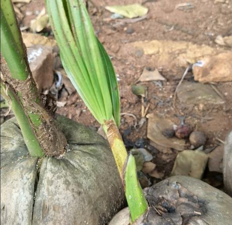 張頌文的「農家院」火遍全網：養花、種菜、養貓，慵懶愜意，讓百萬人羨慕！