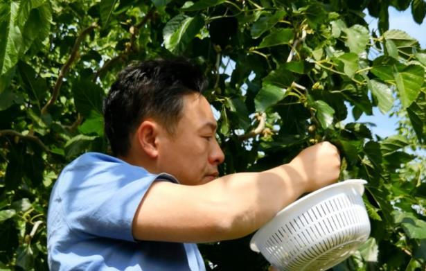 錯失「白玉蘭」，張頌文的「農家院」卻火遍全網：養花、種菜、養貓，慵懶愜意，讓百萬人羨慕！