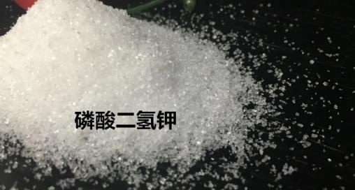 扦插花卉時沒有生根液怎麼辦？花匠偷偷在用的3種「生根」液，你知道嗎？