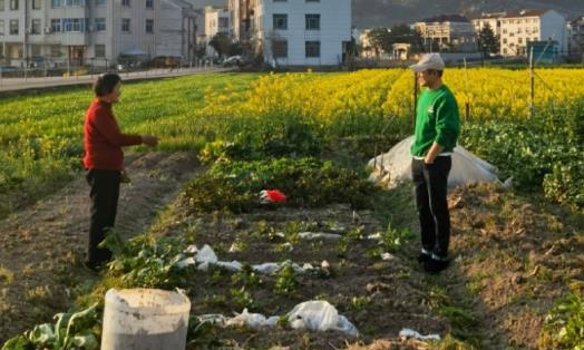 張頌文的「農家院」火遍全網：養花、種菜、養貓，慵懶愜意，讓百萬人羨慕！