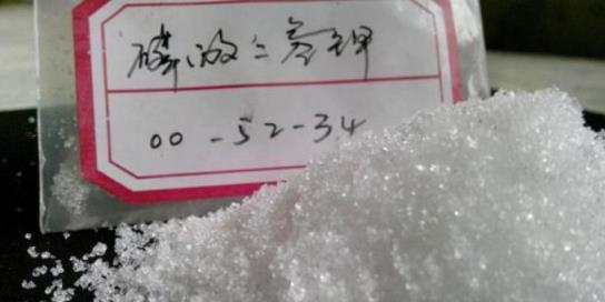 秋天養蟹爪蘭，用好這3種「肥」，莖葉蹭蹭長，開花爆滿盆