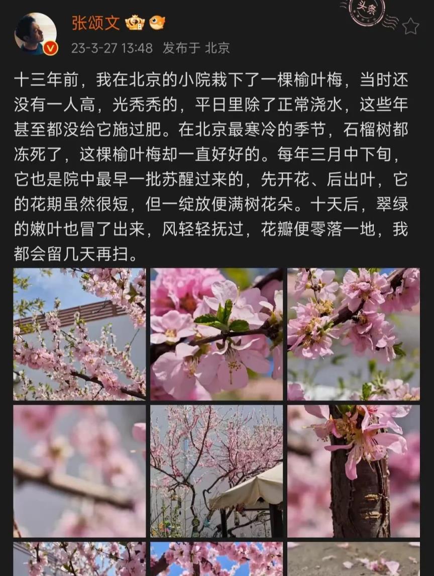 張頌文的「農家院」火遍全網：養花、種菜、養貓，慵懶愜意，讓百萬人羨慕！