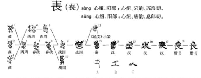 老人說：家裡別亂栽樹，老祖宗種樹風水口訣，不是迷信，是智慧