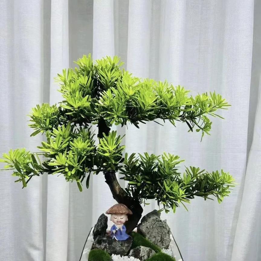 「能鎮宅」的3種綠色植物，客廳擺一盆，安全感爆棚，越養越值錢