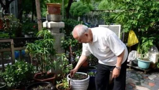 老花匠：「土」好才能養好花，這5種土養花花開爆，葉綠枝也粗