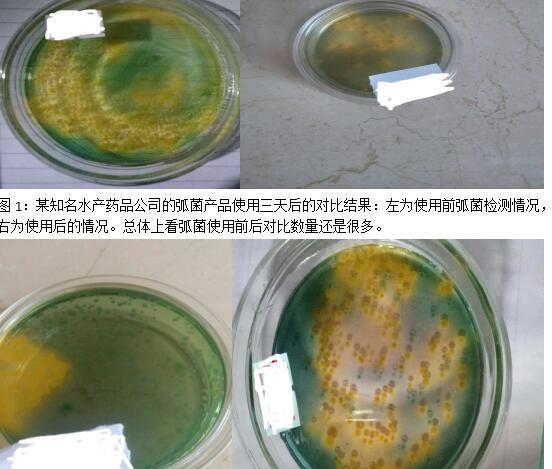 弧菌檢測技術在河蟹養殖上的使用-imomo植物識別