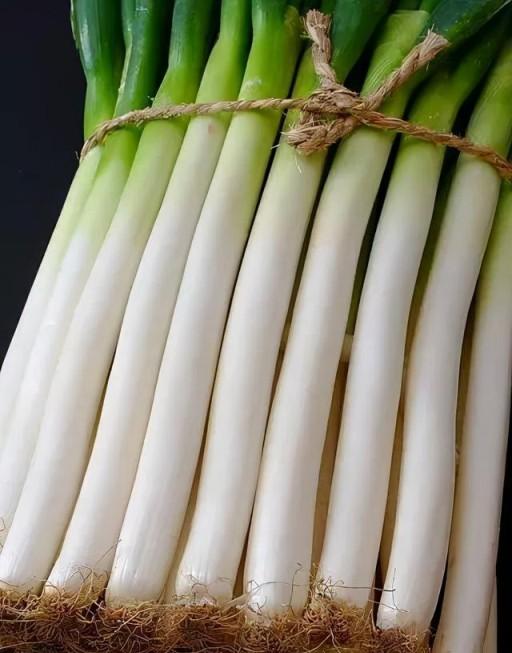 大蔥蔥白短，怎麼回事？瞭解這些，種出高產優質蔥-imomo植物識別