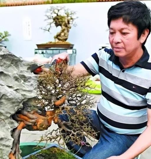 中国語　嶺南盆景　藝術與技法　園藝系列⑪ 中国語 嶺南盆景 藝術與技法 園藝系列⑪