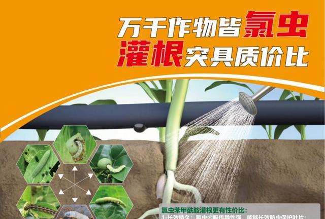 萬千作物皆氯蟲，灌根突具質價比-imomo植物識別