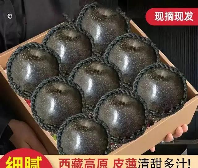 價格不菲的藏烏梨,究竟是何來歷?手把手教你在家制作高價水果(有鍋就行)-imomo植物識別