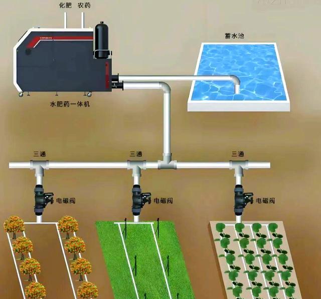 從「大水漫灌」到「精準滴灌」：解碼水肥一體化技術-imomo植物識別