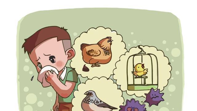 警惕「人禽共患病」:禽流感的傳播途徑與防護要點-imomo植物識別